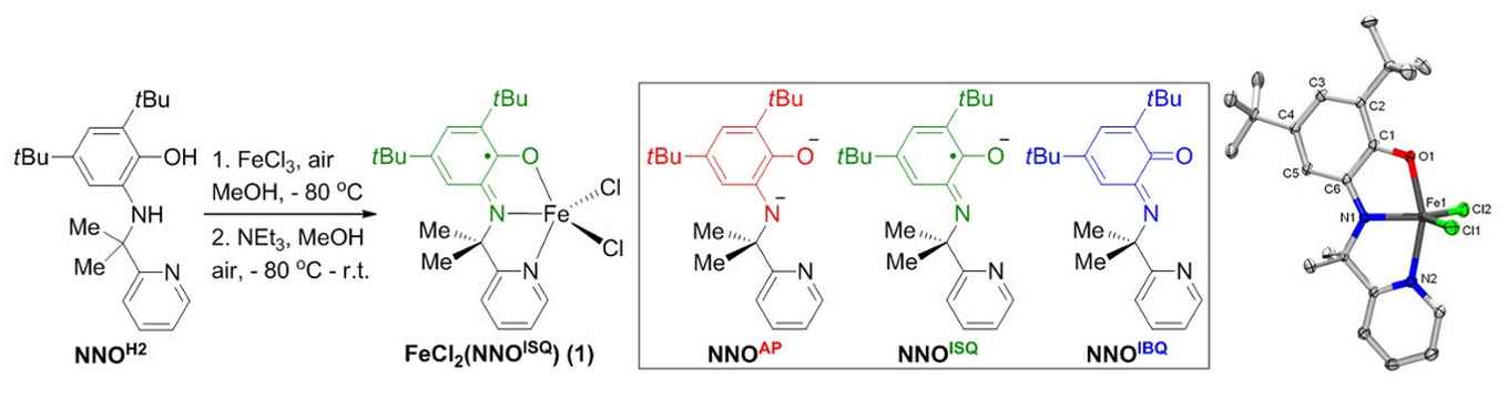 New iron-catalyst for synthesis of cyclic amines