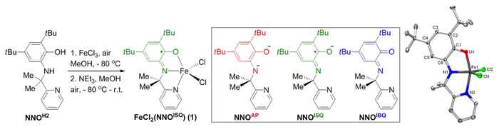 New iron-catalyst for synthesis of cyclic amines