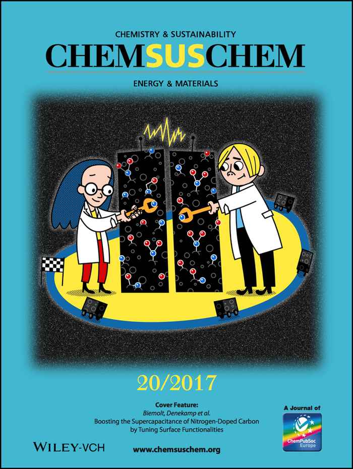 Cover ChemSusChem 20-2017