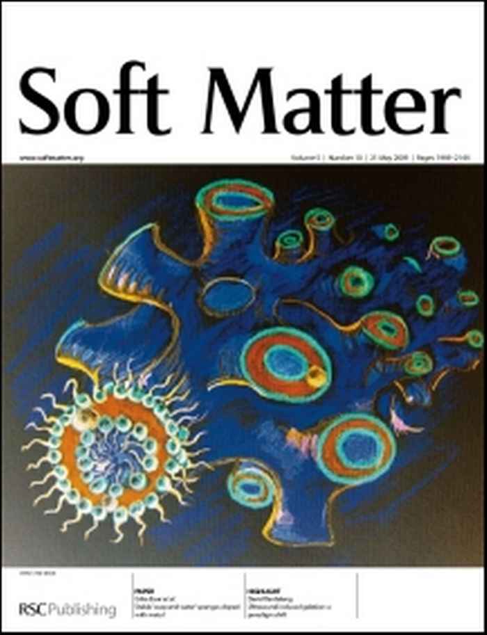 Cover SoftMatter2009