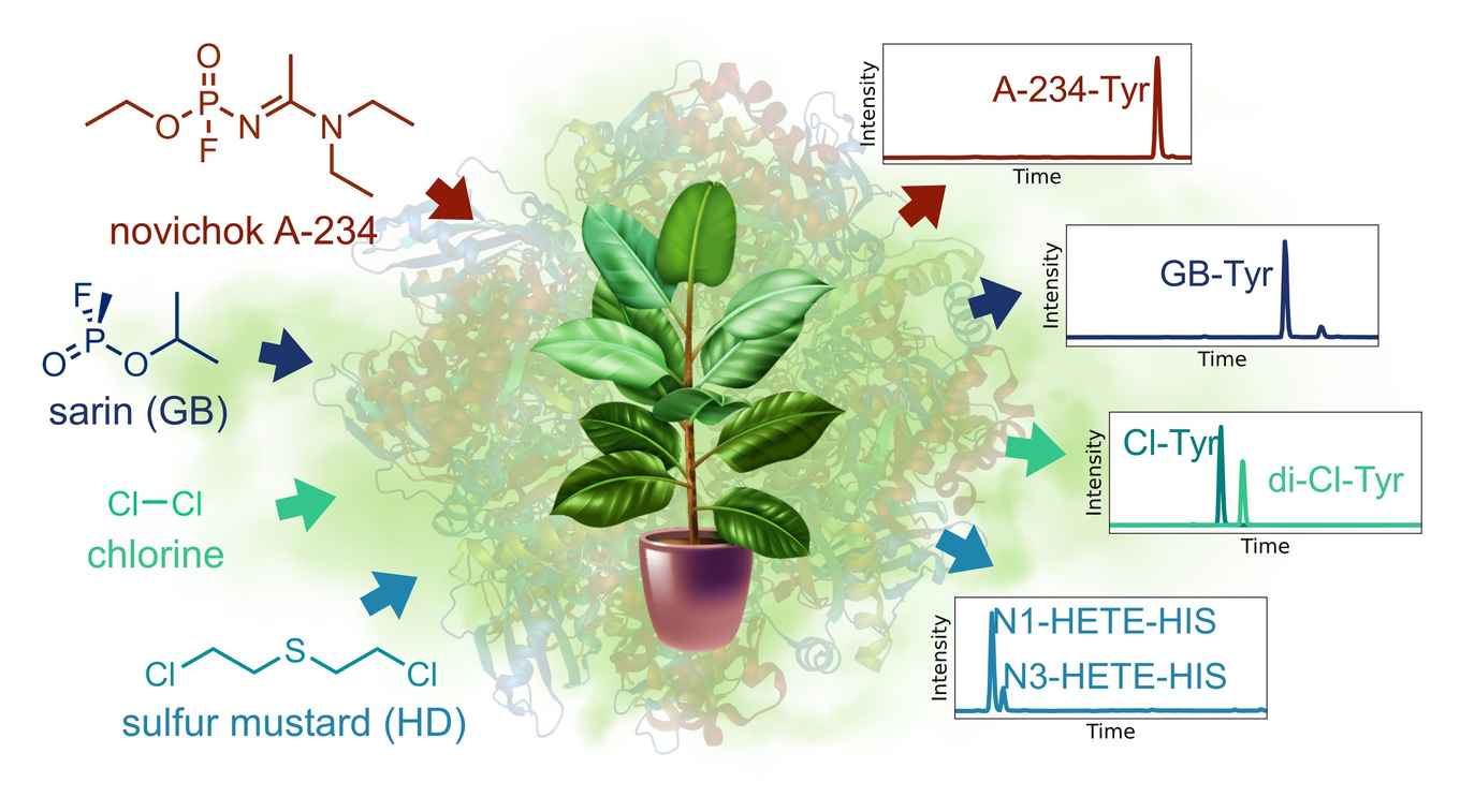 Finding evidence in plants for the use of chemical weapons - HIMS ...