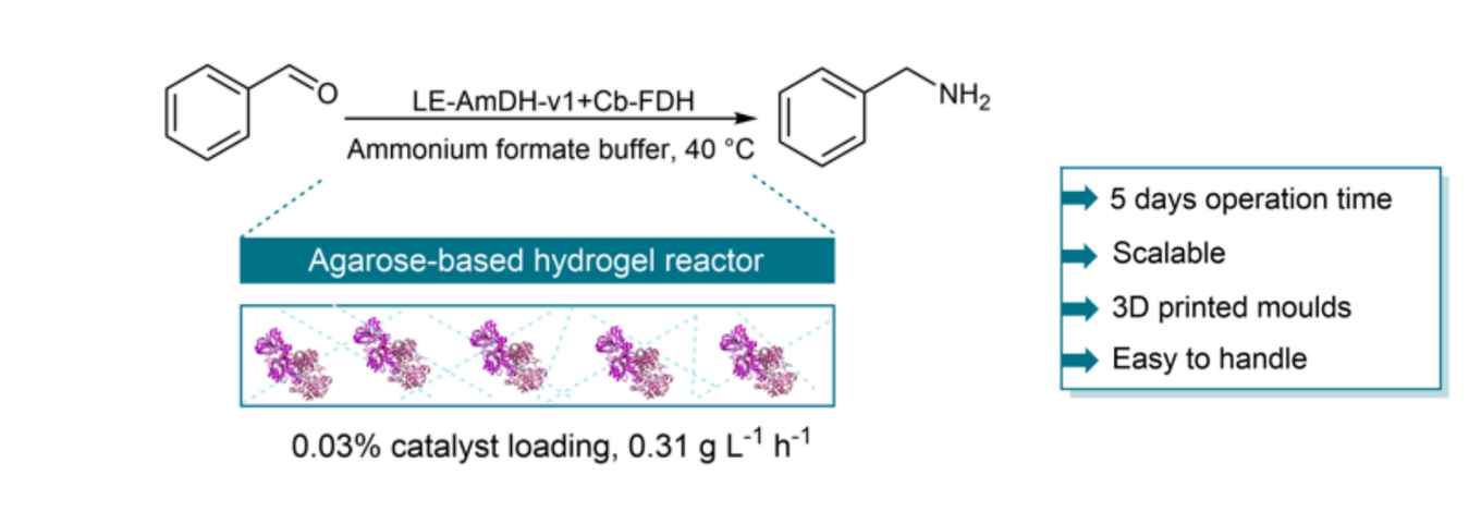 Graphical abstract from the table of contents