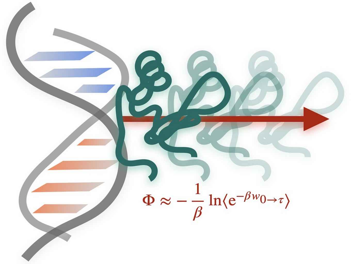 Decoding The Dissociation Of Sequence Specific Proteindna Complexes With Non Equilibrium 3085