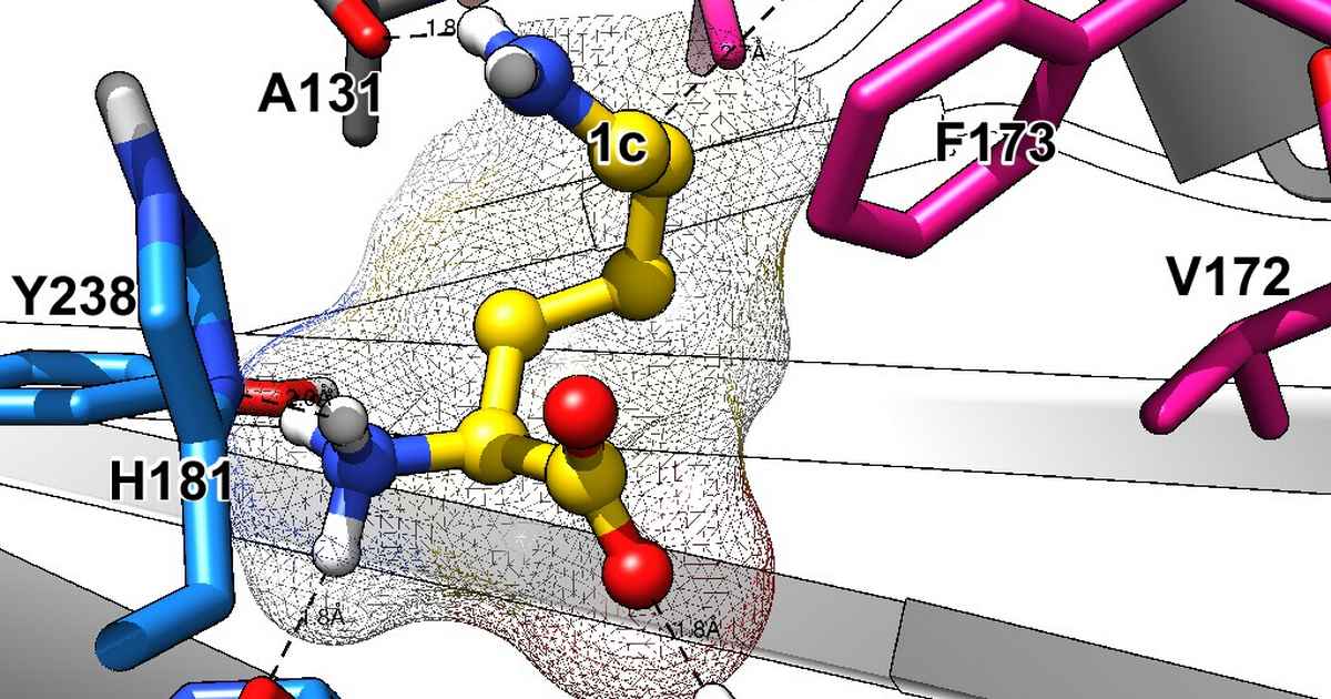 Biocatalysis group strengthens cooperation with Olon Group and