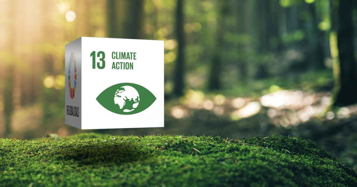 Net zeroemission pathways for reducing the environmental and economic