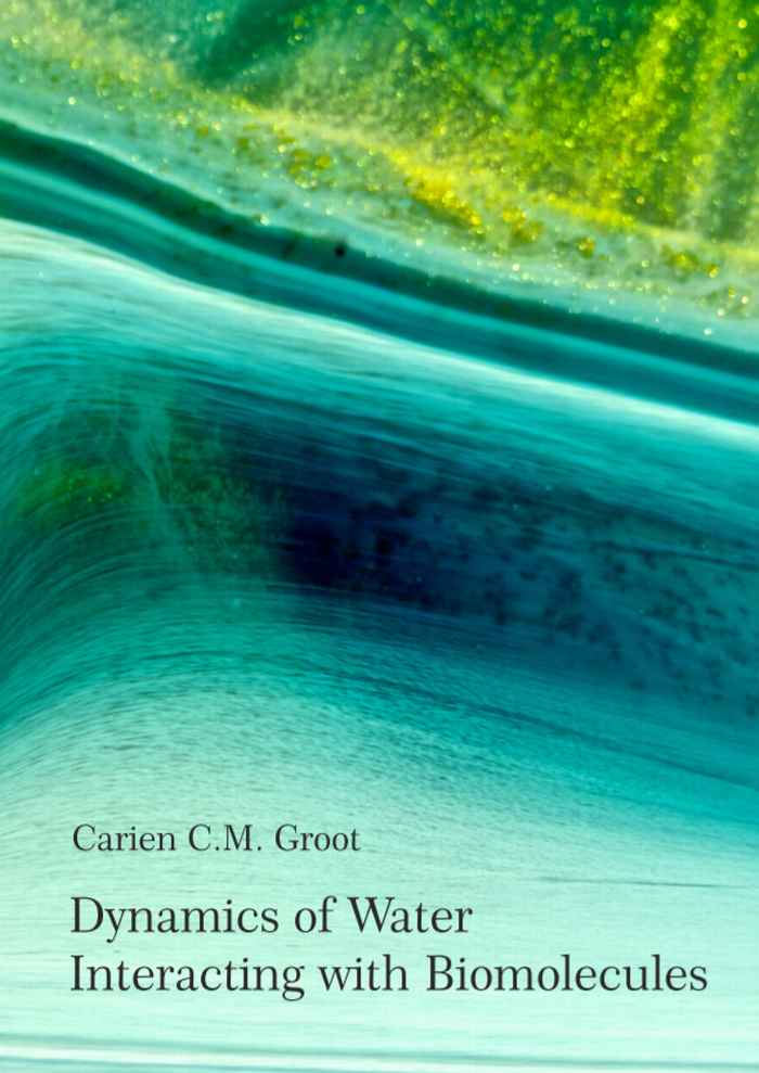 Thesis cover Carien Groot