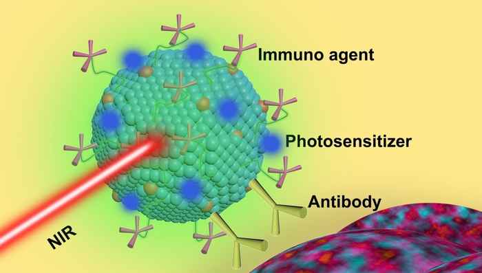 Concept van 'nanotheranostica' voor immuuntherapie