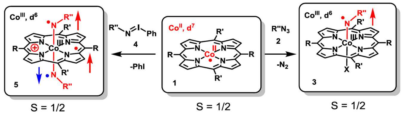 key-intermediates relevant in catalytic nitrene transfer reactions