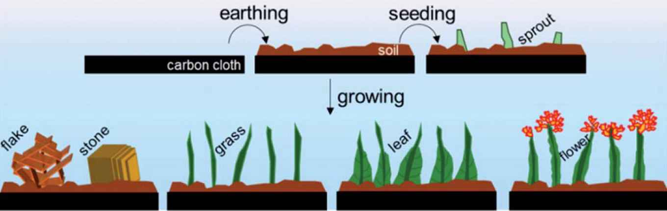 Graph showing the growing process