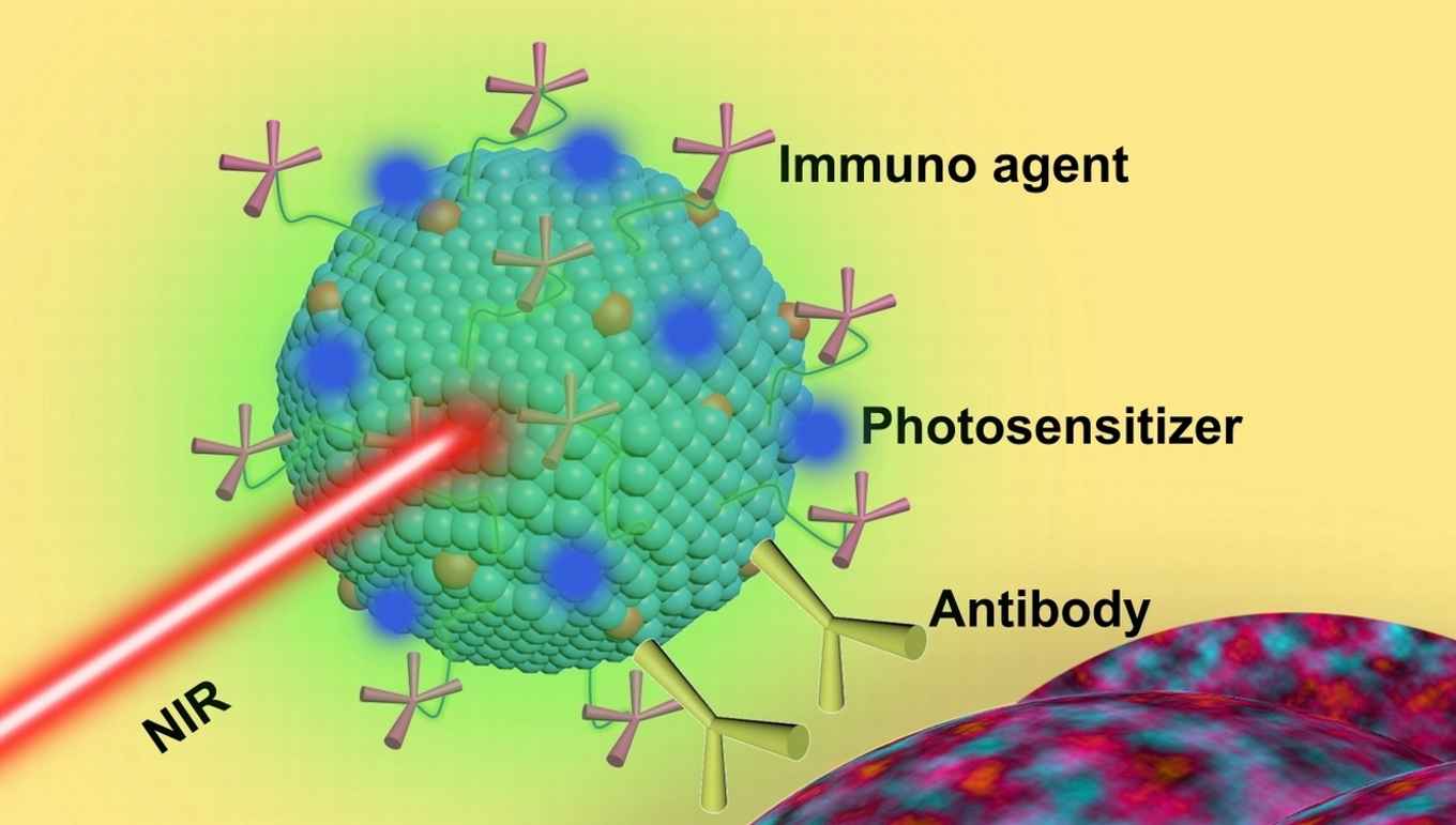 Concept of nanotheranostics for immunotherapy