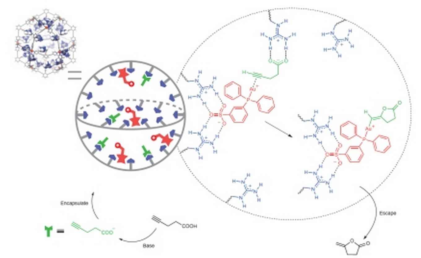 Schematic nanoconcentrator Joost Reek