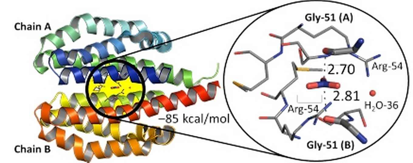 Lewis Acidity of Nitrate - 3EZH protein