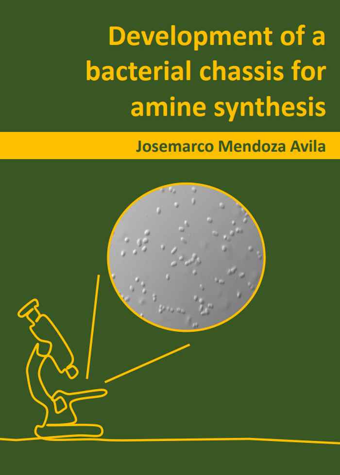 Thesis cover