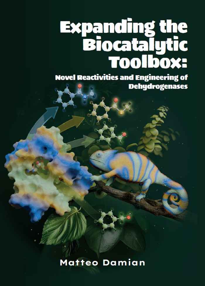 Thesis cover